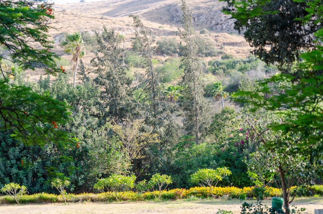 Bait Alfa Kibbutz Country Lodging Bet Alfa Rom bilde